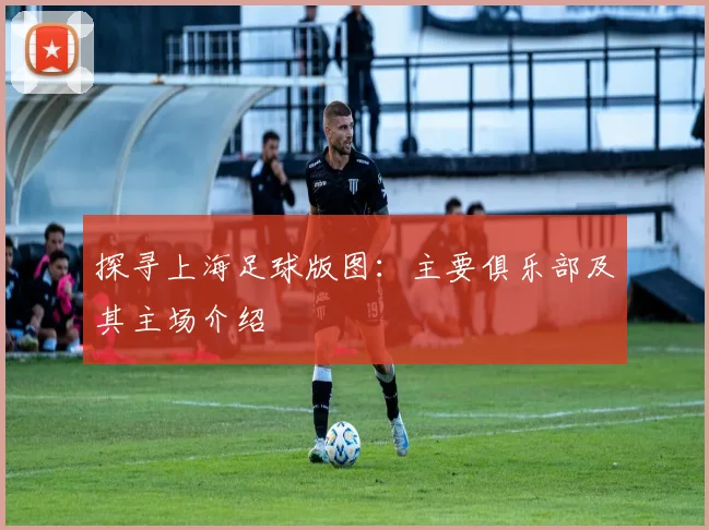 探寻上海足球版图:主要俱乐部及其主场介绍